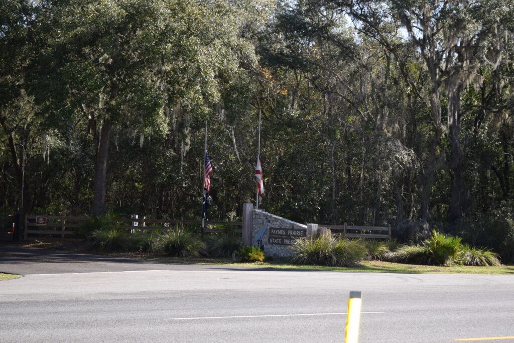 Entrance sign for Paynes Prairie Preserve State Park surrounded by oak trees and Spanish moss near Micanopy, Florida.