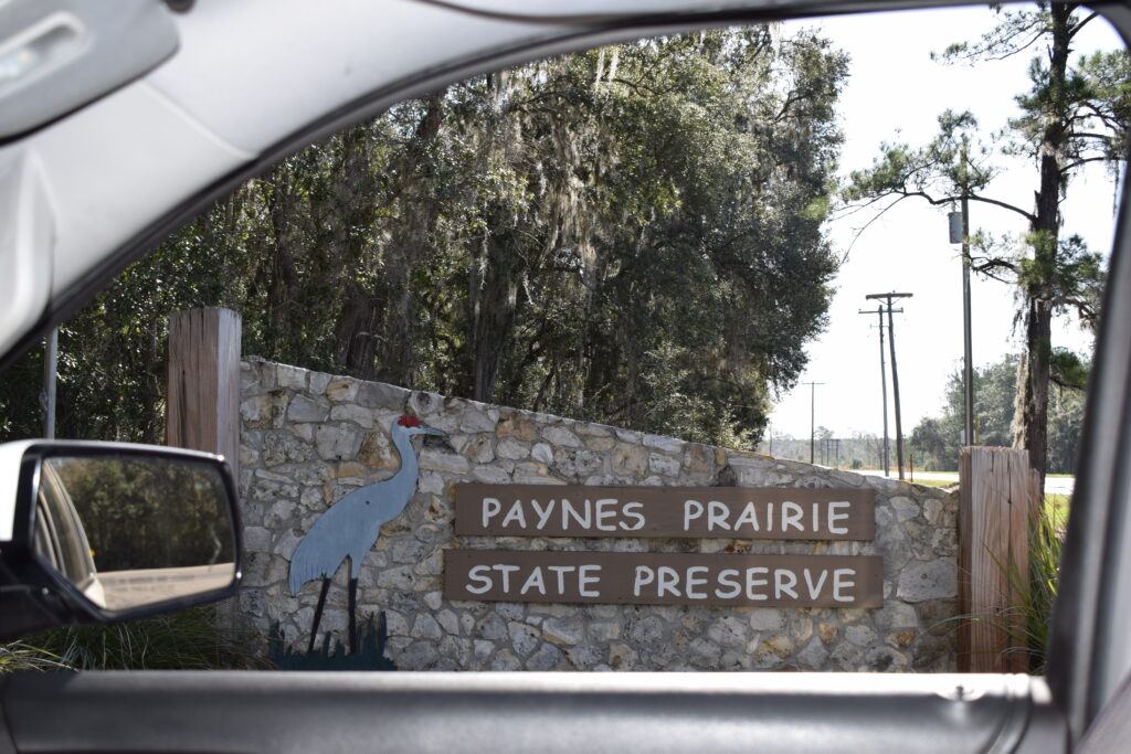 Paynes Prairie State Preserve entrance sign photographed from a vehicle near Micanopy, Florida.