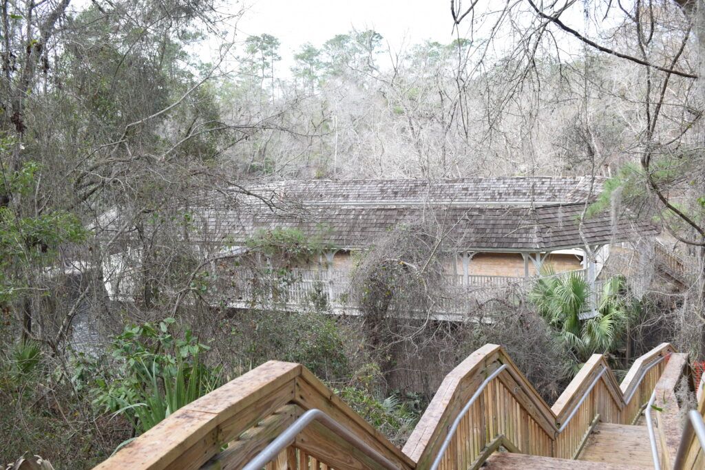 Wooden boardwalk and stairs leading toward the historic White Springs Sulfur Bathhouse through the trees in White Springs, Florida.