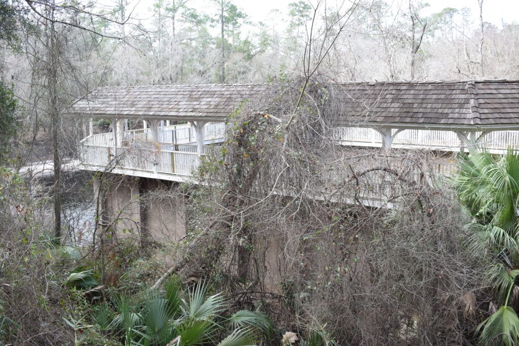 White wooden galleries of the historic White Springs Sulfur Bathhouse surrounded by dense vegetation in White Springs, Florida.