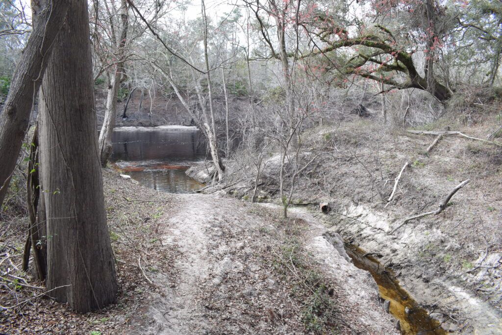 Wooded landscape and narrow water channel near the historic White Springs Sulfur Bathhouse and Suwannee River in White Springs, Florida.