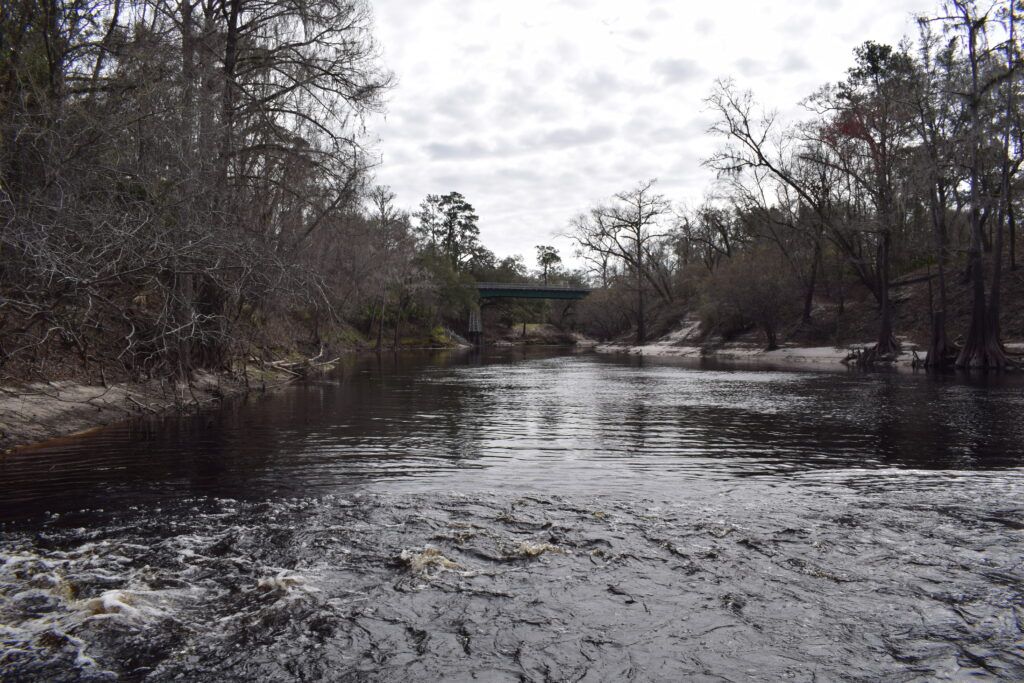 Dark waters of the Suwannee River flowing past wooded banks near the historic White Sulphur Springs bathhouse in White Springs, Florida.