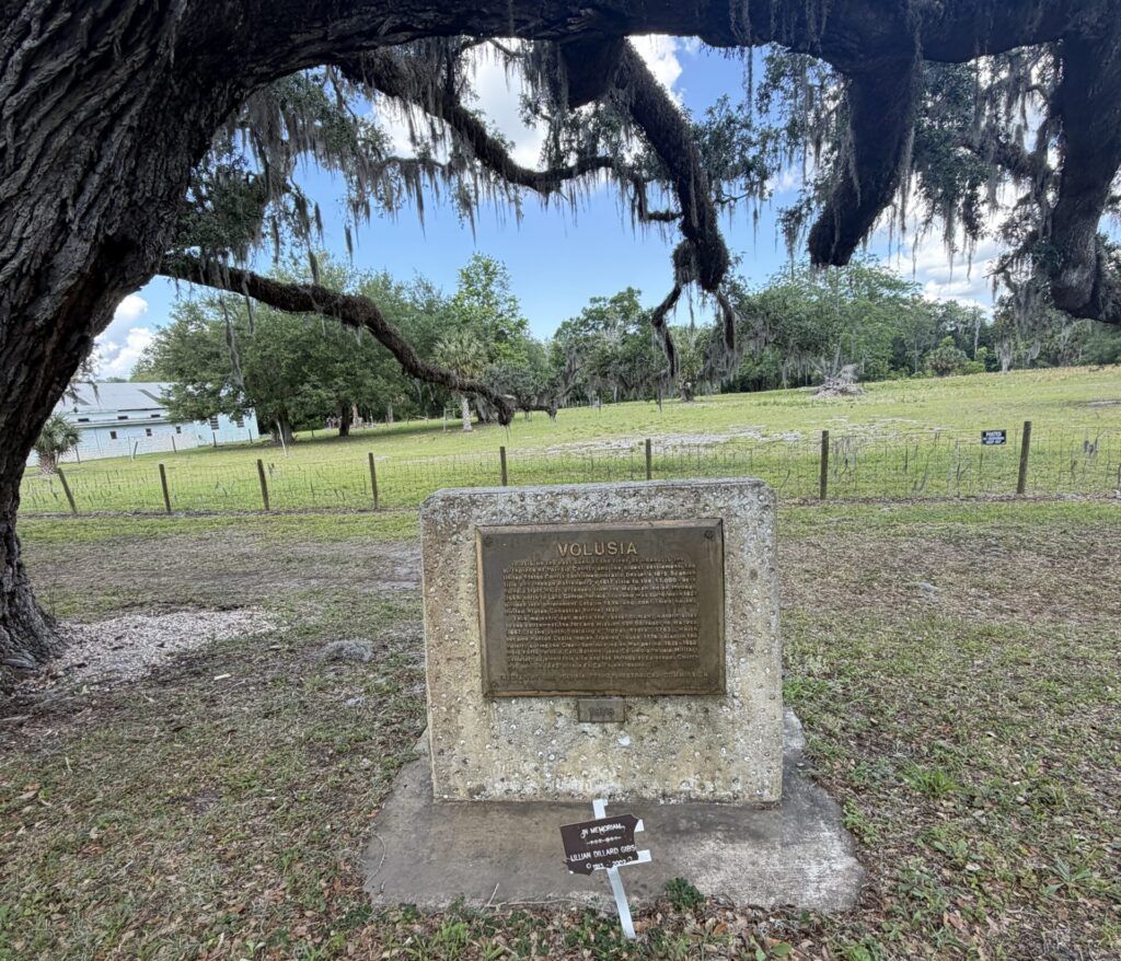 Historic Birthplace of Volusia County marker beneath sprawling live oak branches draped with Spanish moss in Volusia, Florida.