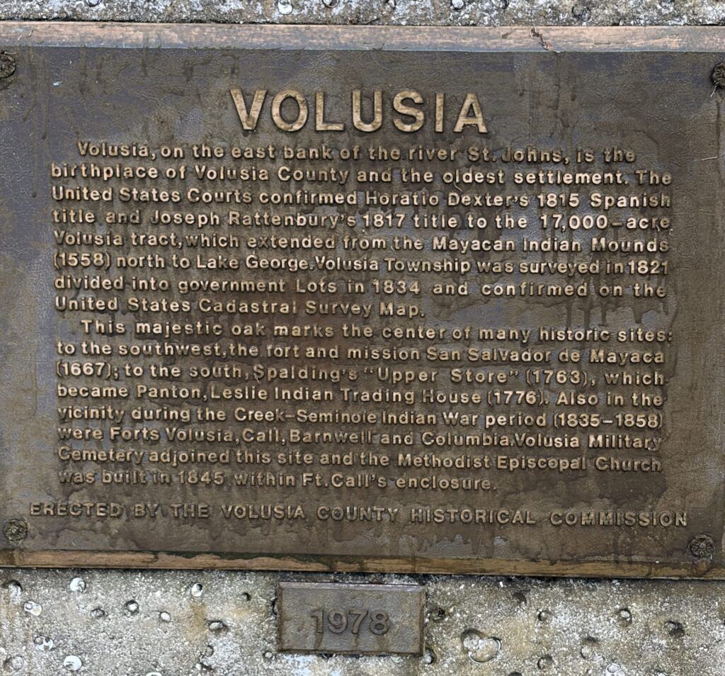 Historic bronze marker identifying the Birthplace of Volusia County mounted beneath a weathered oak tree beside the St. Johns River in Volusia, Florida.