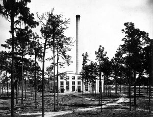 Historic photograph of the Brewster, Florida phosphate company town with its power plant smokestack rising above the buildings and trees.