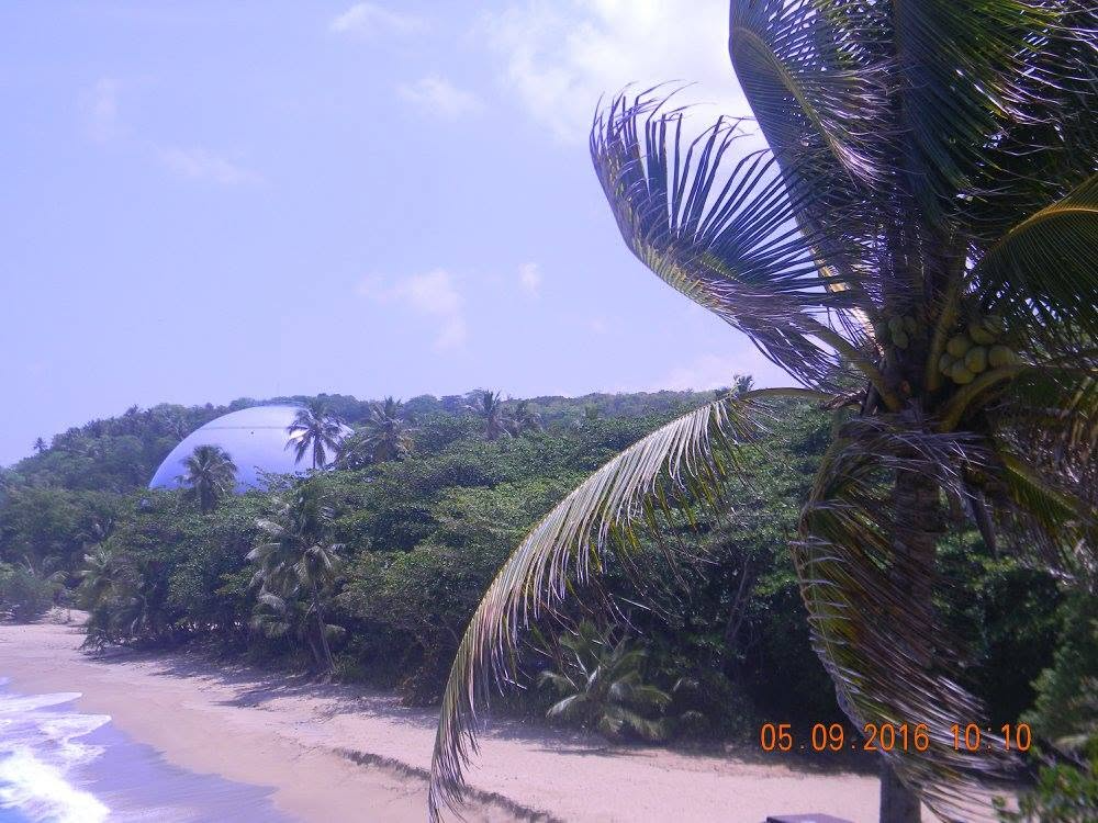 BONUS nuclear reactor dome partially visible through tropical trees and palms beside the beach near Rincón, Puerto Rico.