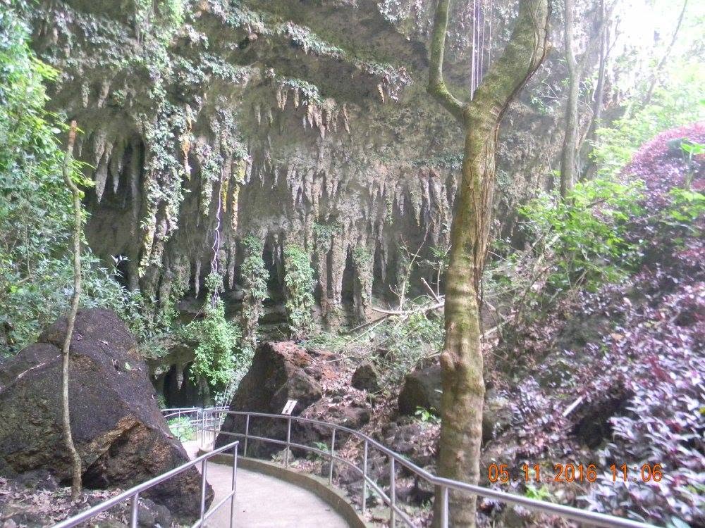 Paved walking path descending through lush vegetation and limestone formations at the Río Camuy Caves in Puerto Rico.