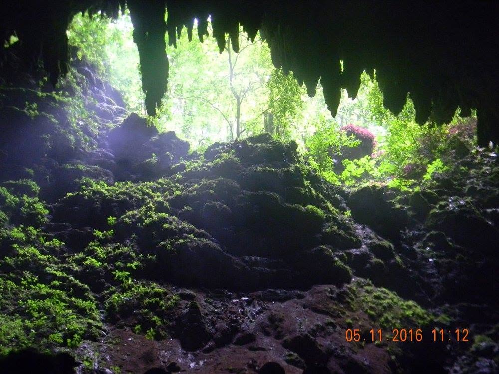 View from inside the Río Camuy Caves looking toward lush green vegetation and daylight in Puerto Rico.