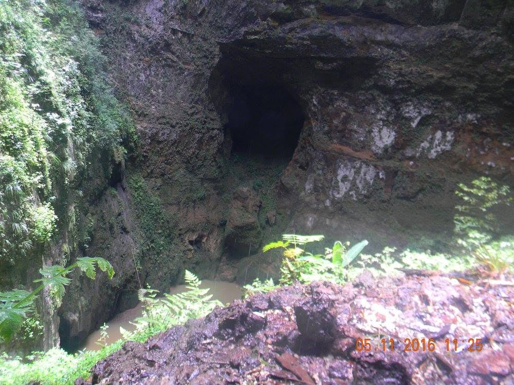 Río Camuy flowing beneath a large limestone cave opening surrounded by tropical vegetation in Puerto Rico.