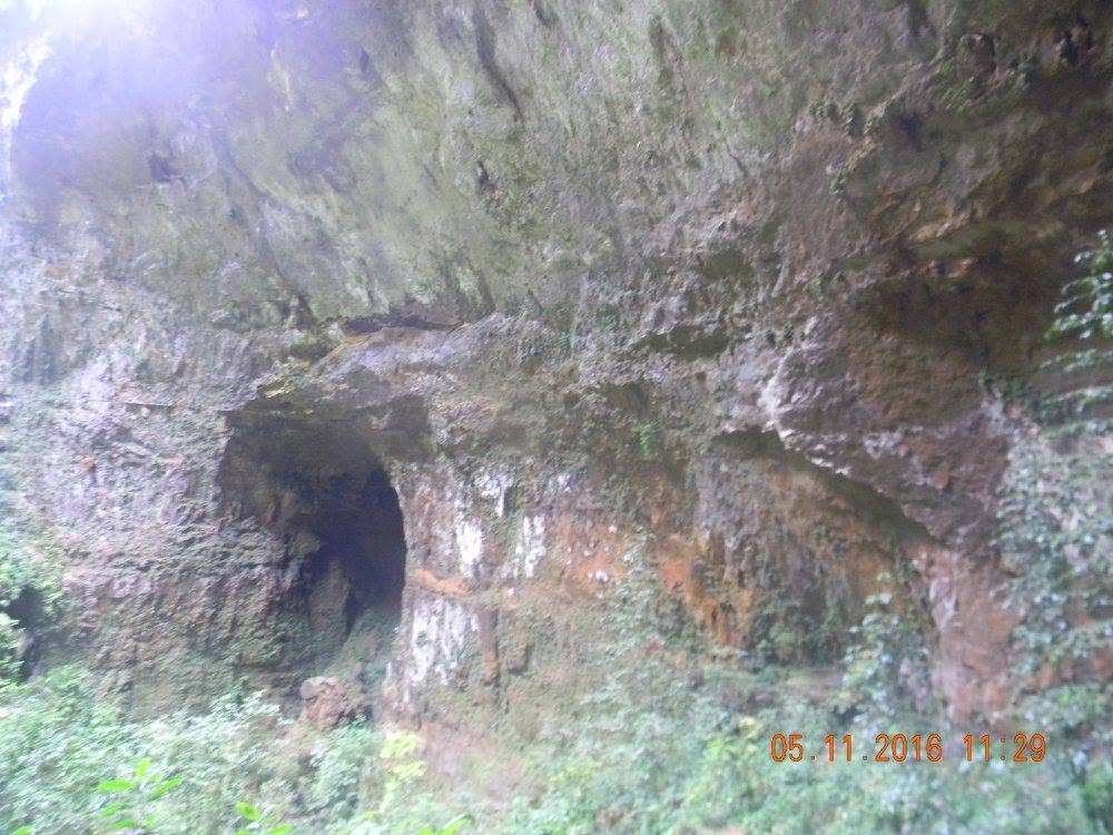 Dark cave opening surrounded by massive limestone walls and tropical vegetation in the Río Camuy cave system in Puerto Rico.