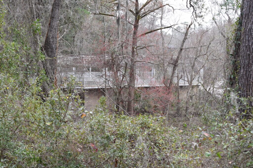 Remains of the historic White Sulphur Springs Bathhouse partially hidden among trees beside the Suwannee River in White Springs, Florida.