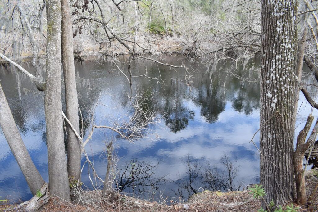 Calm dark waters of the Suwannee River surrounded by trees at Big Shoals State Park near White Springs, Florida.