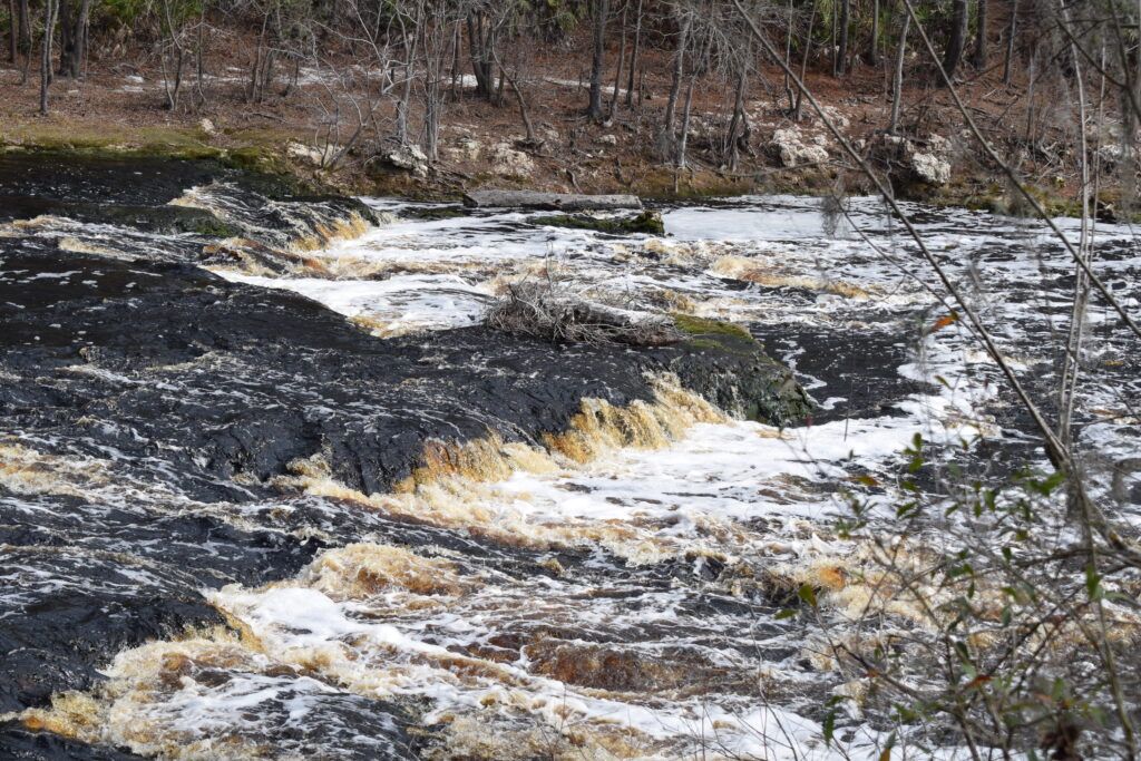 Whitewater rapids flowing over dark limestone at Big Shoals State Park along the Suwannee River in Florida.