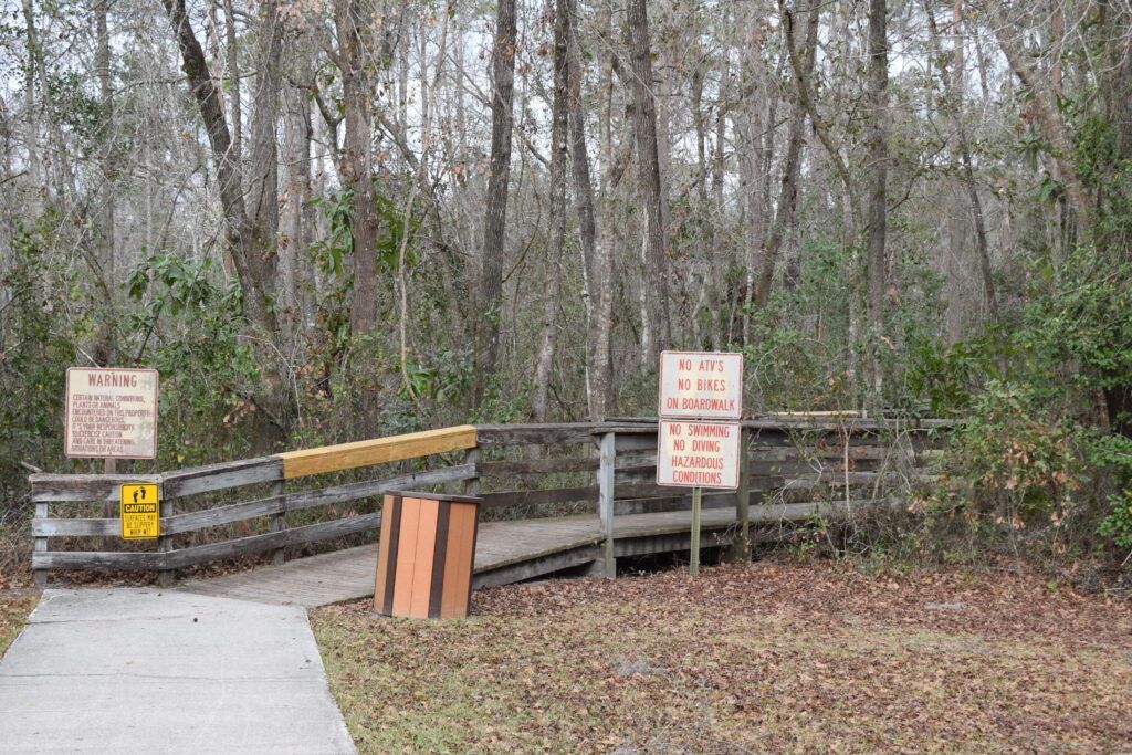 Wooden boardwalk trail entering the forest at Falling Creek Falls near Lake City, Florida.