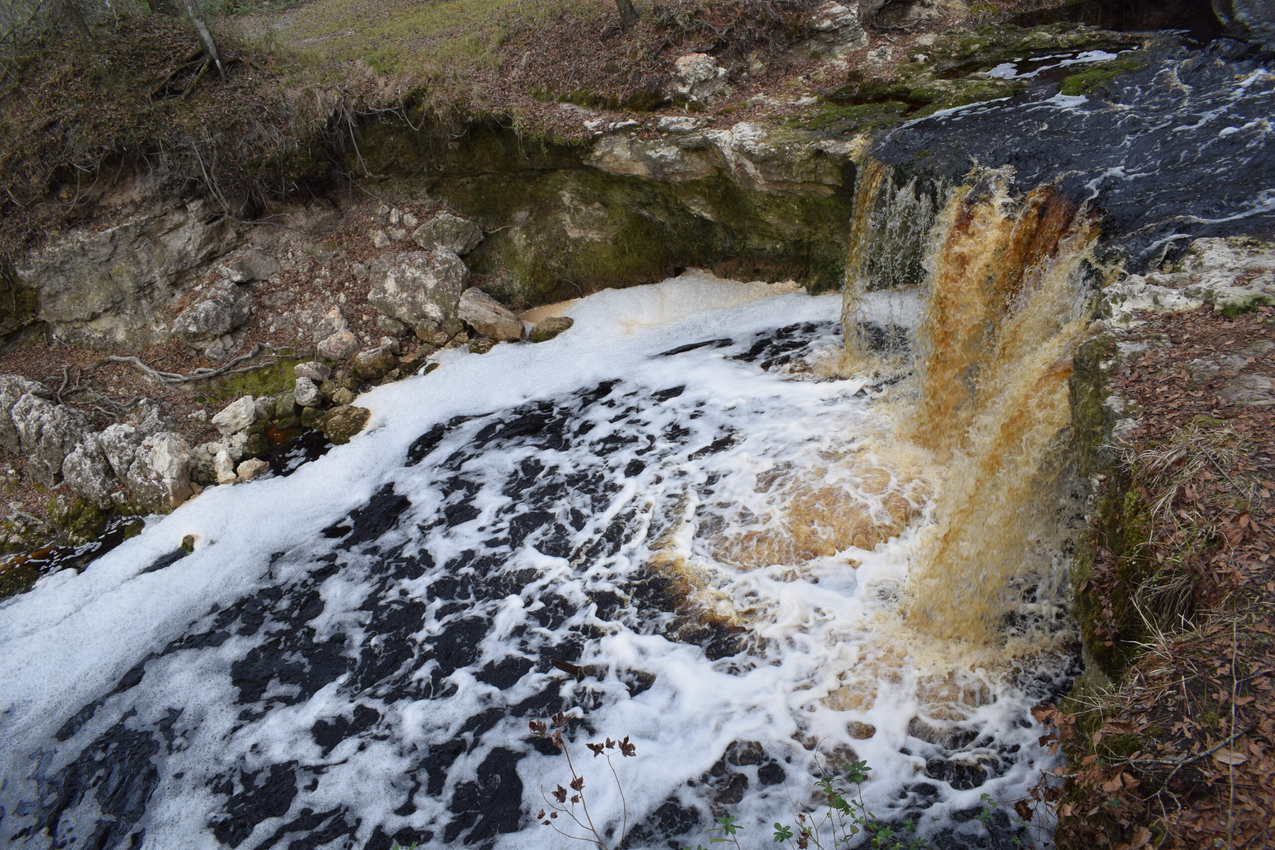Tannin-stained water cascading over the limestone ledge at Falling Creek Falls near Lake City, Florida.
