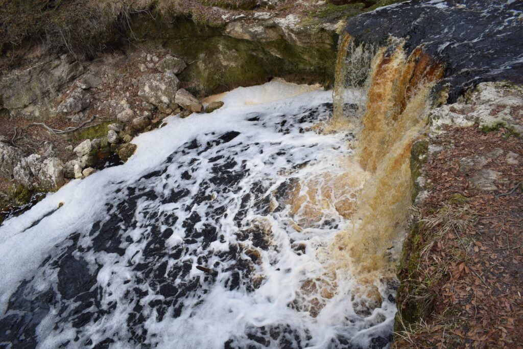 Tannin-stained water cascading over the limestone ledge at Falling Creek Falls near Lake City, Florida.