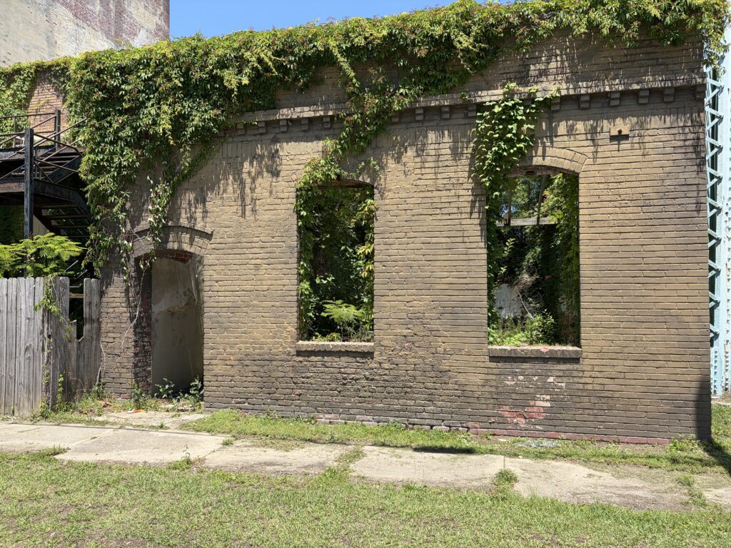 Vines growing over the brick walls and through the empty windows of an old building in Enfield, North Carolina.