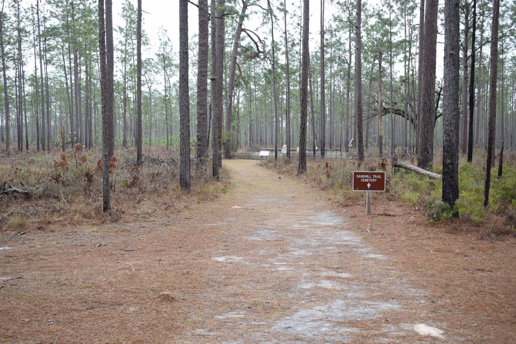 Sandy Sandhill Trail winding through tall pine trees toward historic Columbus Cemetery at Suwannee River State Park in Florida, with a cemetery directional sign beside the path.