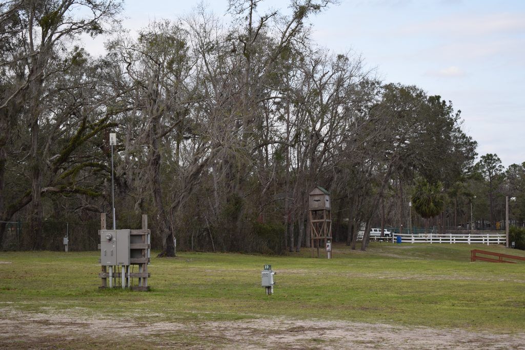 Moss-draped oak trees and dense woodland surrounding a quiet campground at Spirit of the Suwannee Music Park in Live Oak, Florida, with a small elevated wooden structure among the trees.