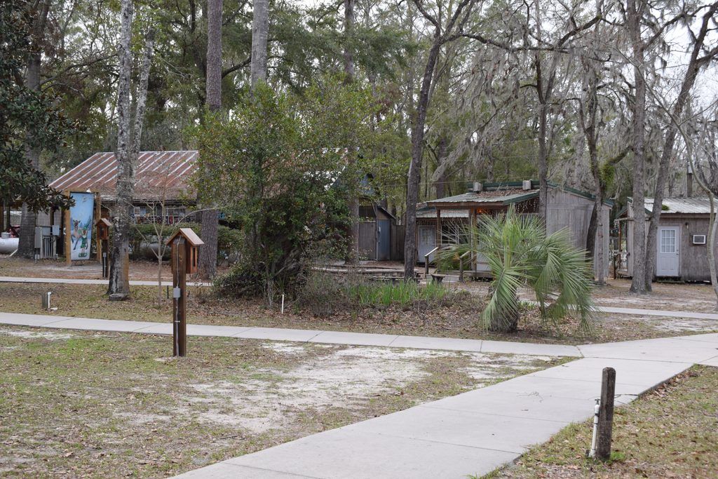 Rustic wooden campground buildings and concrete walking paths beneath moss-draped oak trees at Spirit of the Suwannee Music Park in Live Oak, Florida.