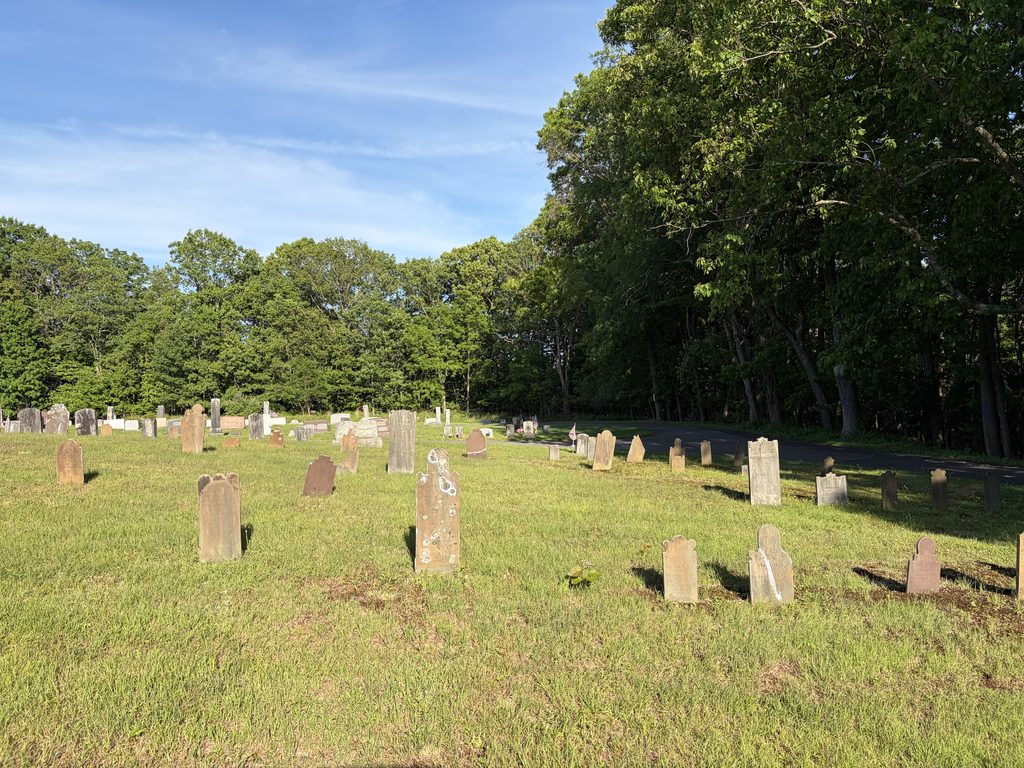 Weathered historic gravestones scattered across a grassy hillside at Chestnut Ridge and Schellsburg Union Cemetery in Schellsburg, Pennsylvania, bordered by trees and a paved cemetery road.