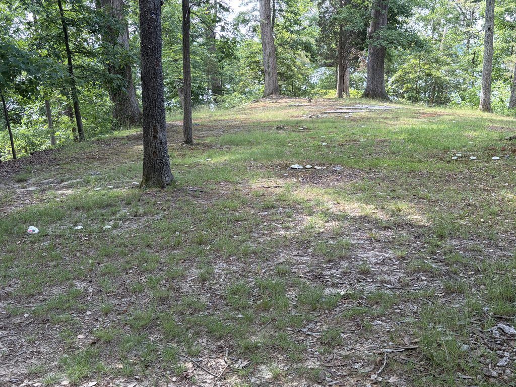 Wooded burial ground for enslaved people at Mount Vernon in Virginia, with small white stones marking graves among the trees and grassy hillside.